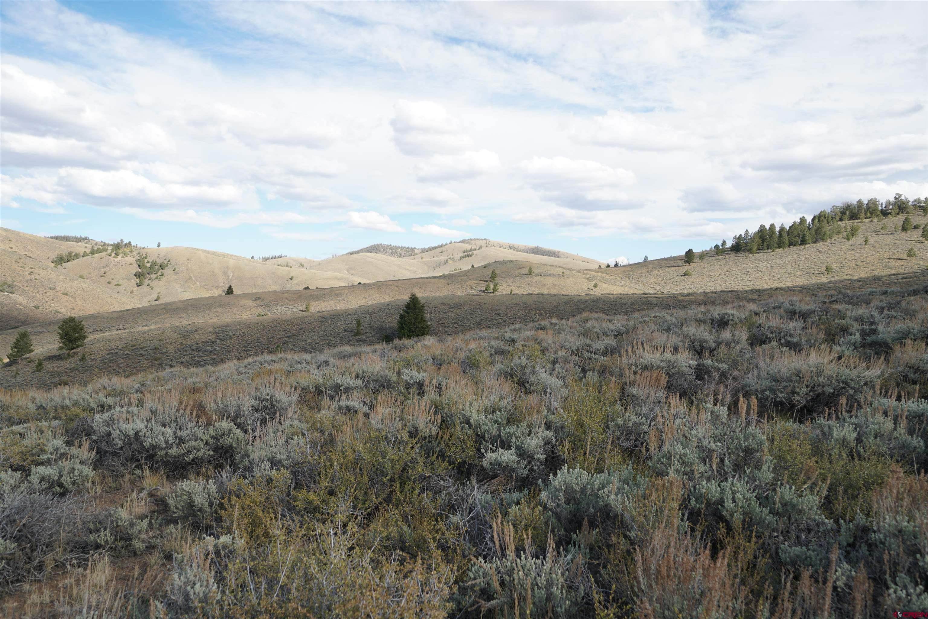 Land for Sale at TBD Goose Creek Road Powderhorn, Colorado 81243 United States