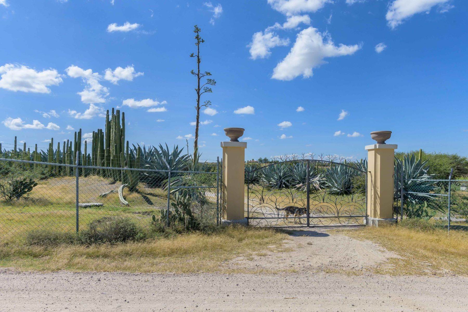 2. Farm and Ranch Properties for Sale at Calzada Los Pinos, Rancho La Aurora San Miguel De Allende, Guanajuato N/P Mexico