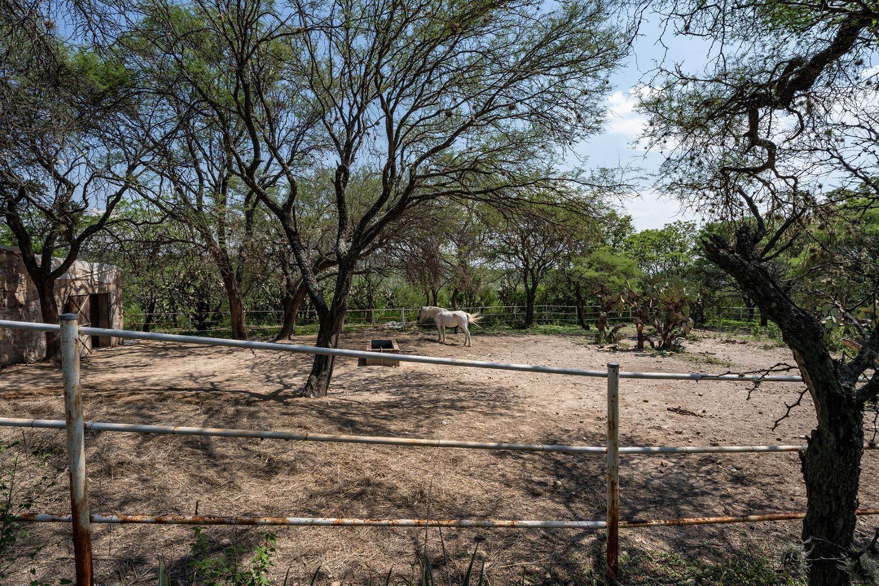 29. Farm and Ranch Properties for Sale at Rancho Comonfort Other Guanajuato, Guanajuato Mexico