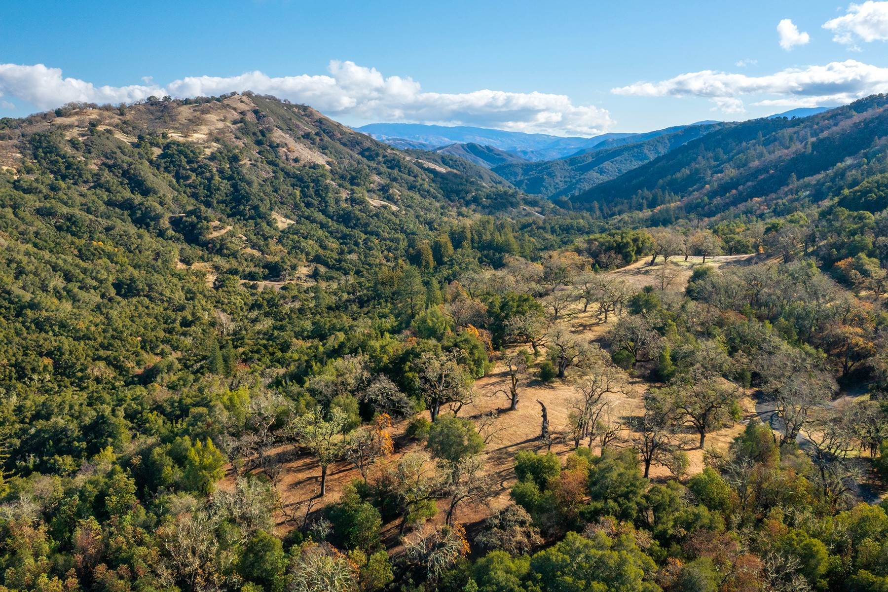 Land for Sale at 37 Arroyo Sequoia (Lot 113) Carmel, California 93923 United States